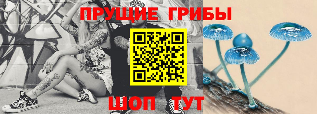 Черняховск  Галлюциногенные грибы прущие грибы  Псилоцибиновые грибы мухоморы  Вход с VPN 
